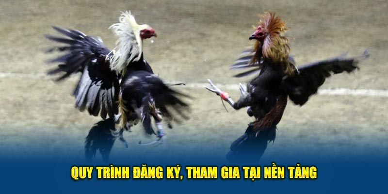 Quy trình đăng ký, tham gia tại nền tảng