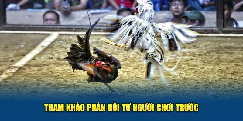 Tham khảo lời phản hồi từ những cao thủ lode88