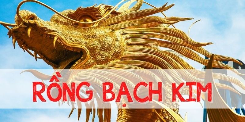 Mẹo hay bắt cầu miền Bắc rồng bạch kim hiệu quả từ lode88